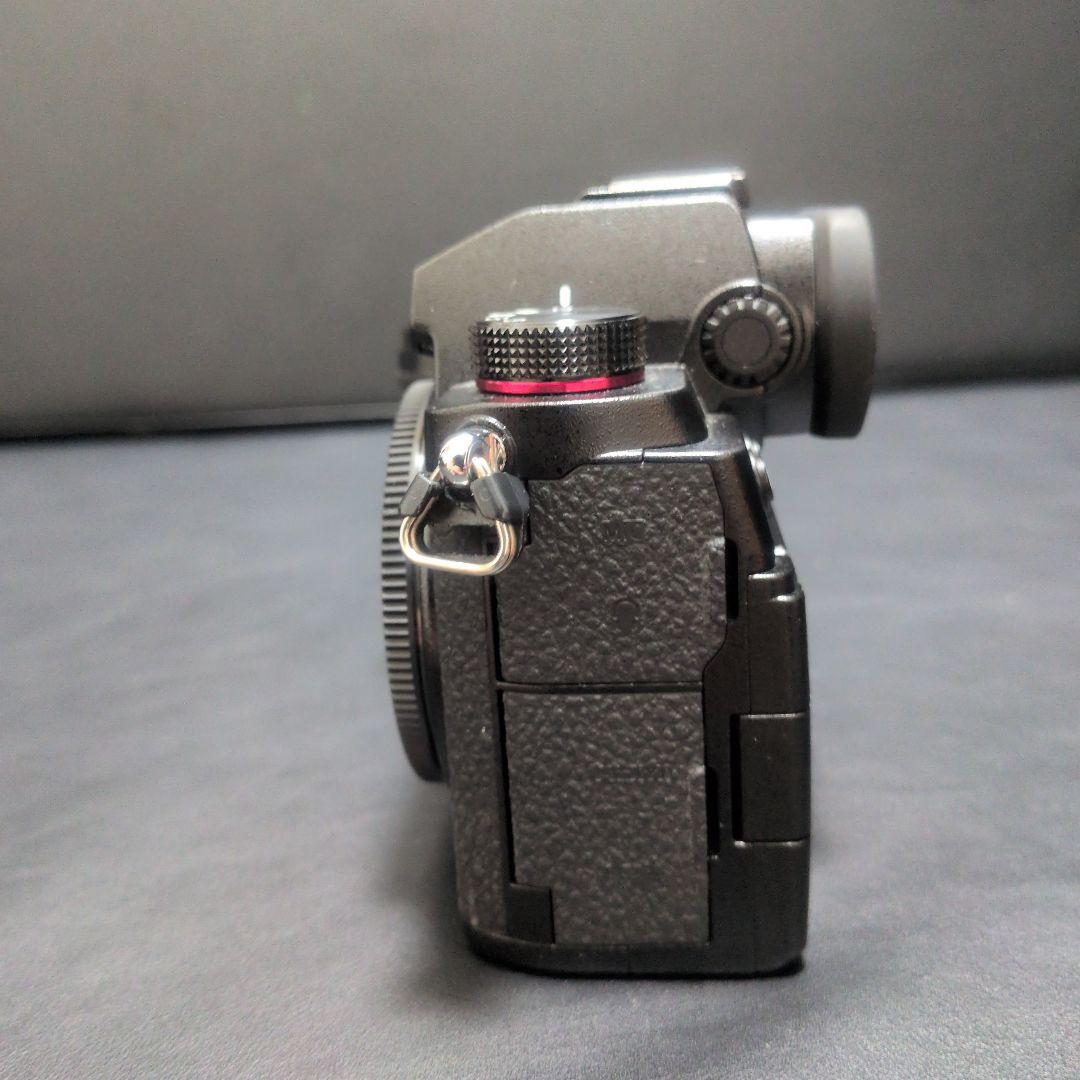 LUMIX S5 ミラーレス一眼カメラ　ワーリー