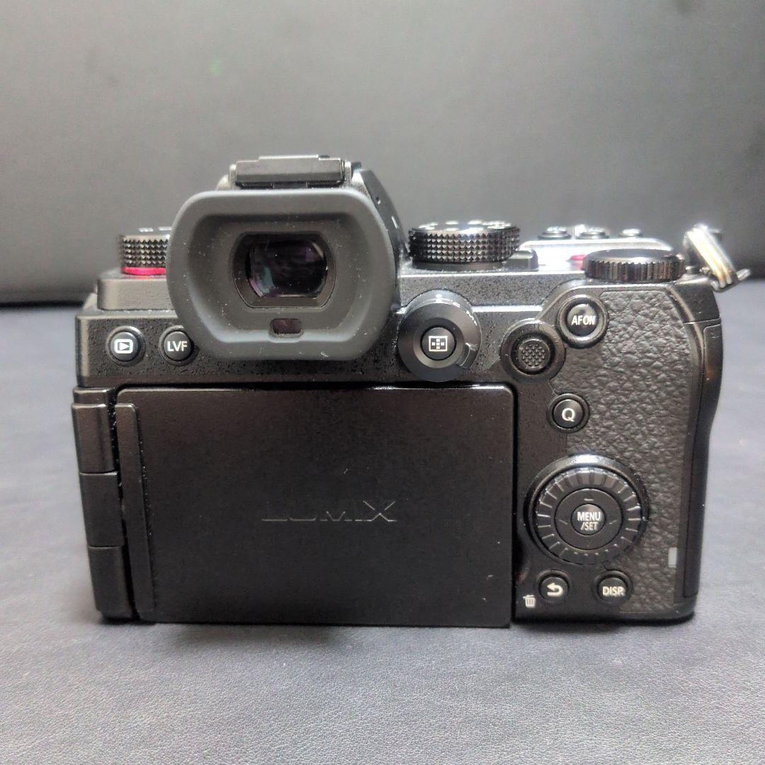 LUMIX S5 ミラーレス一眼カメラ　ワーリー