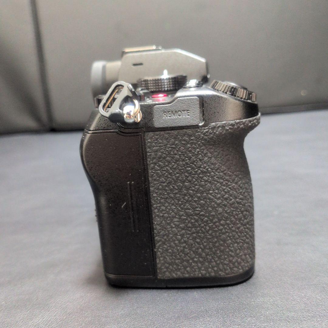 LUMIX S5 ミラーレス一眼カメラ　ワーリー