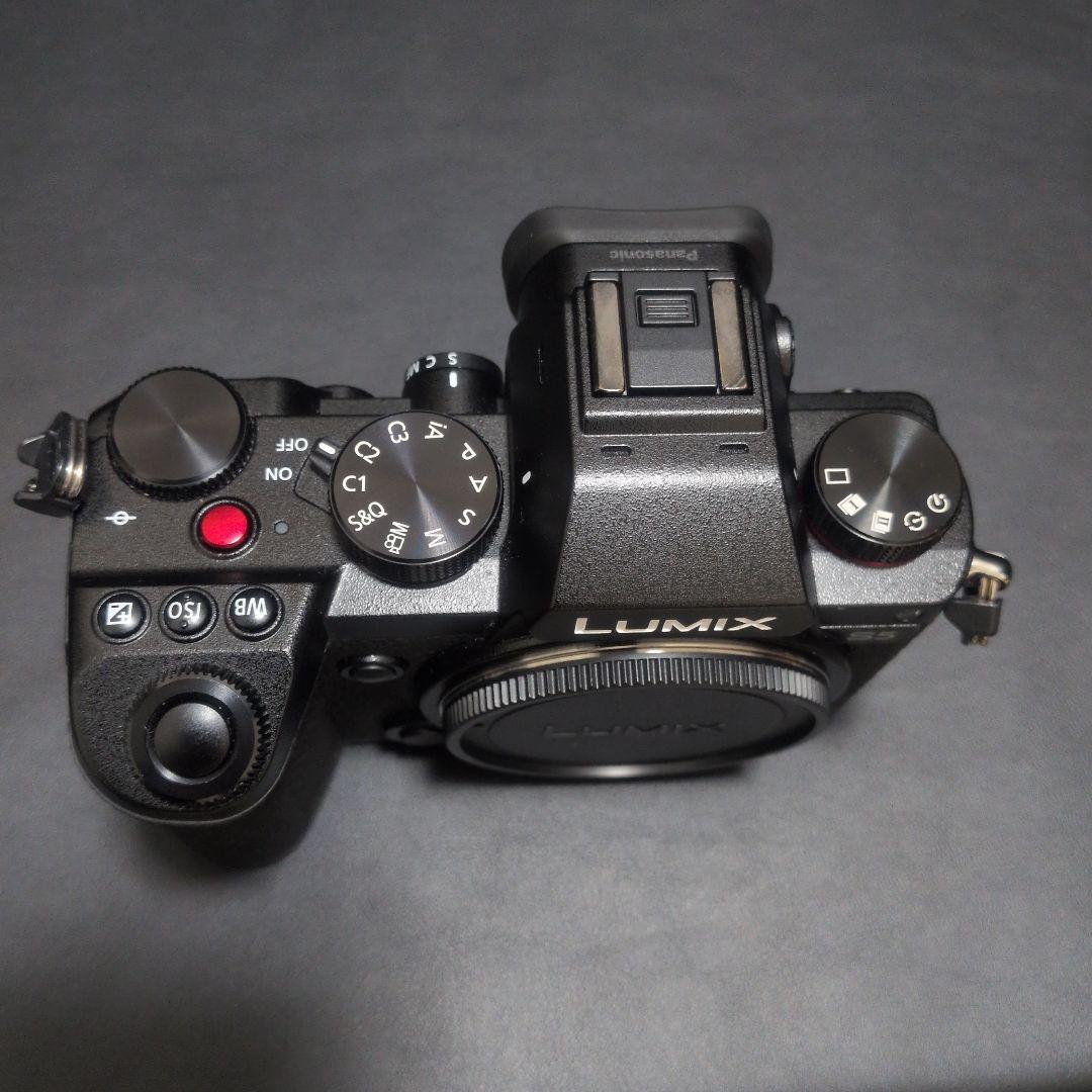LUMIX S5 ミラーレス一眼カメラ　ワーリー
