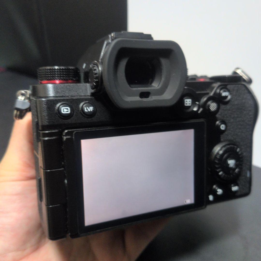 LUMIX S5 ミラーレス一眼カメラ　ワーリー