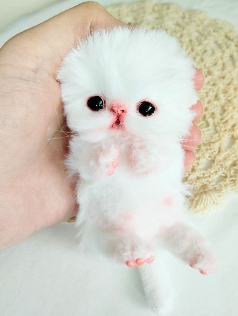 お腹ぽっこり♡むぎゅサイズ♡子猫のラムネちゃん♡アートドール♡ぬいぐるみ♡