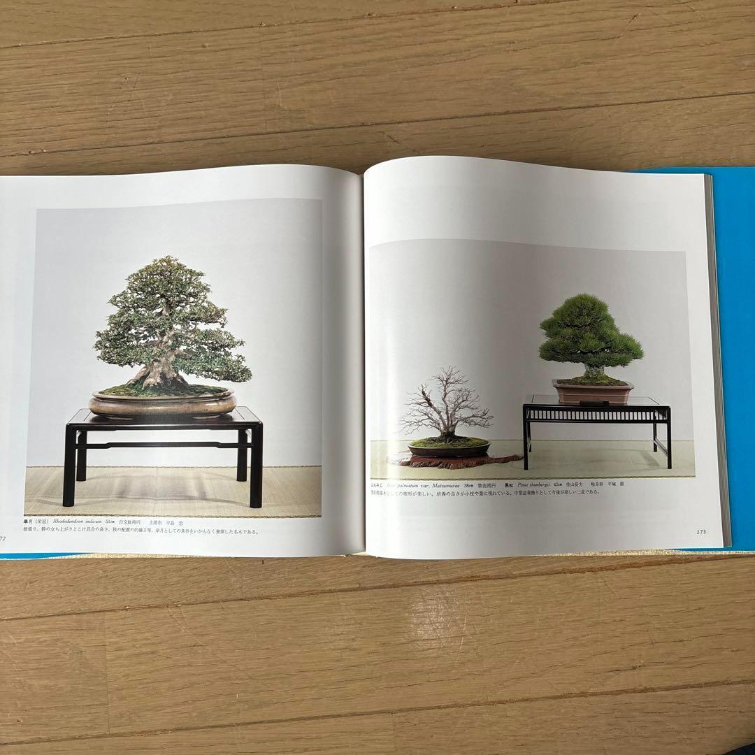 国風盆栽展 第58回〜第75回 (第74回は中抜け) 計17冊