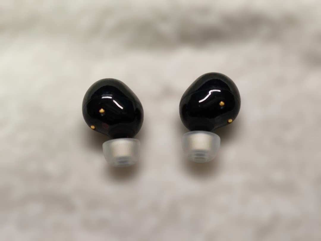 根*生様 SONY ワイヤレス イヤホン WF-1000XM5 ブラック