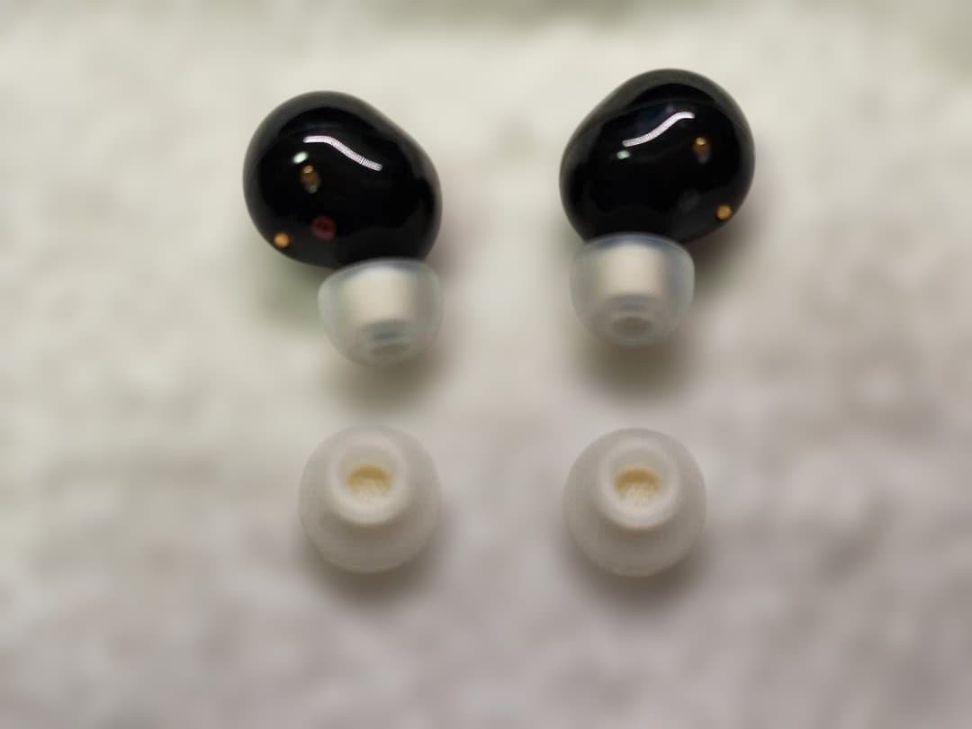 根*生様 SONY ワイヤレス イヤホン WF-1000XM5 ブラック