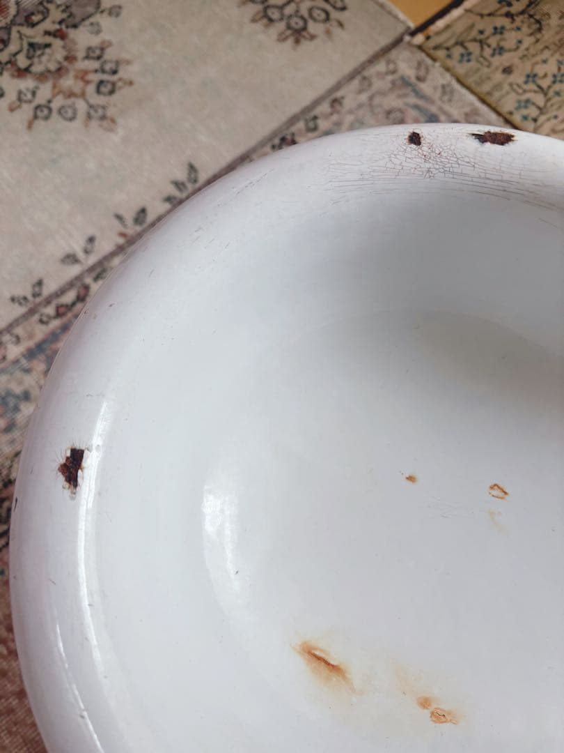 ありんこ❣️アンティーク　ホーローベビーバス　野バラ柄　蓋つき　希少❣️