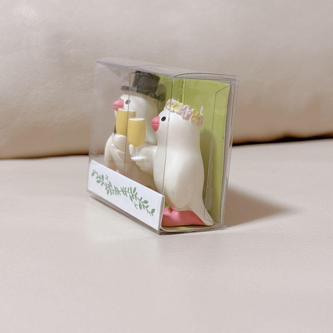 コンコンブル　乾杯文鳥