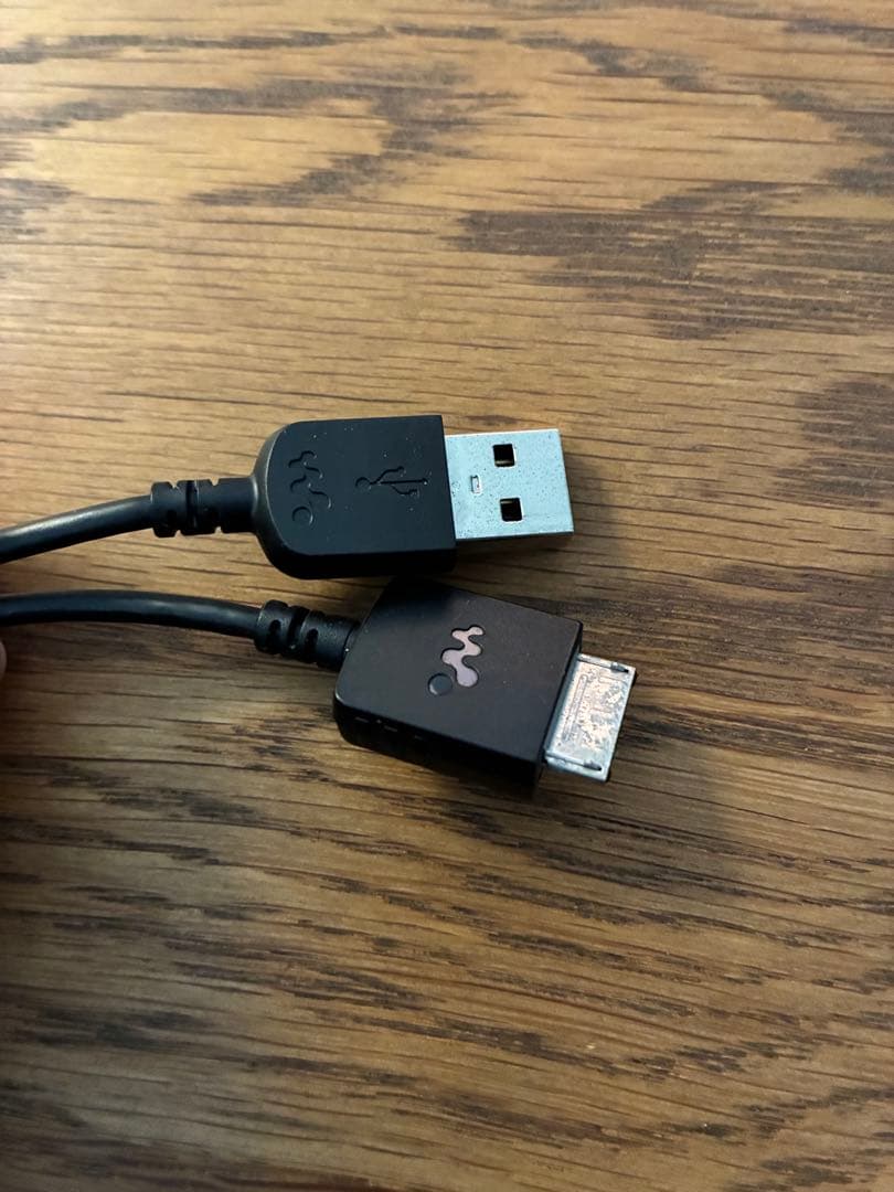 SONY WALKMAN NW-A20 16GB（SDカード・ハードケース付き）