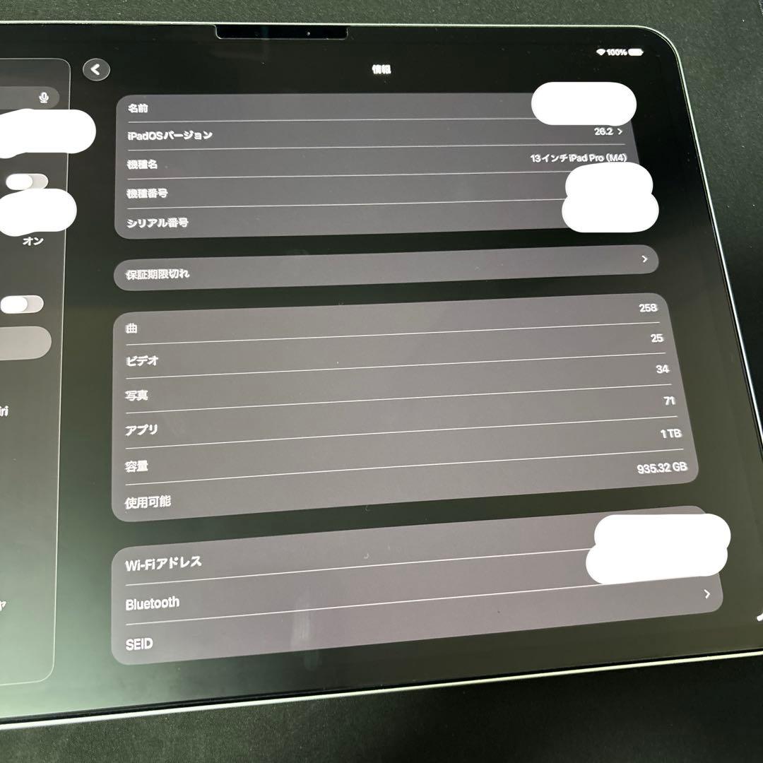 iPad Pro13インチ M4 1TB WIFIシルバー 本体のみ