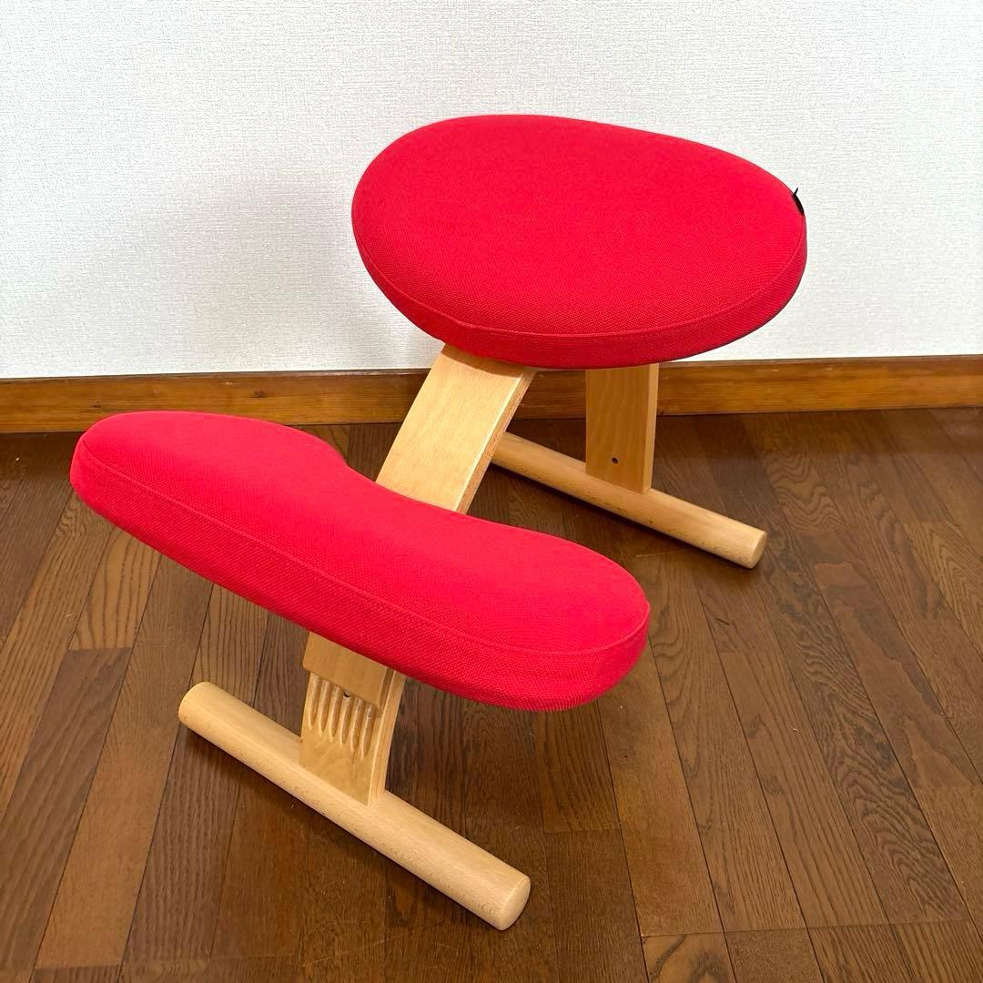 【美品】バランスイージー レッド 通常フレーム 調整ガイド付き