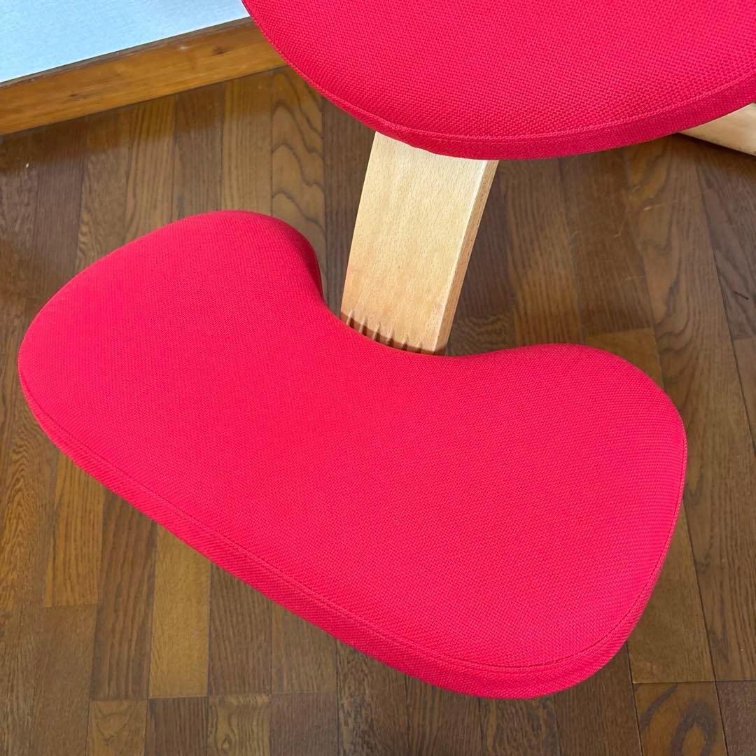 【美品】バランスイージー レッド 通常フレーム 調整ガイド付き