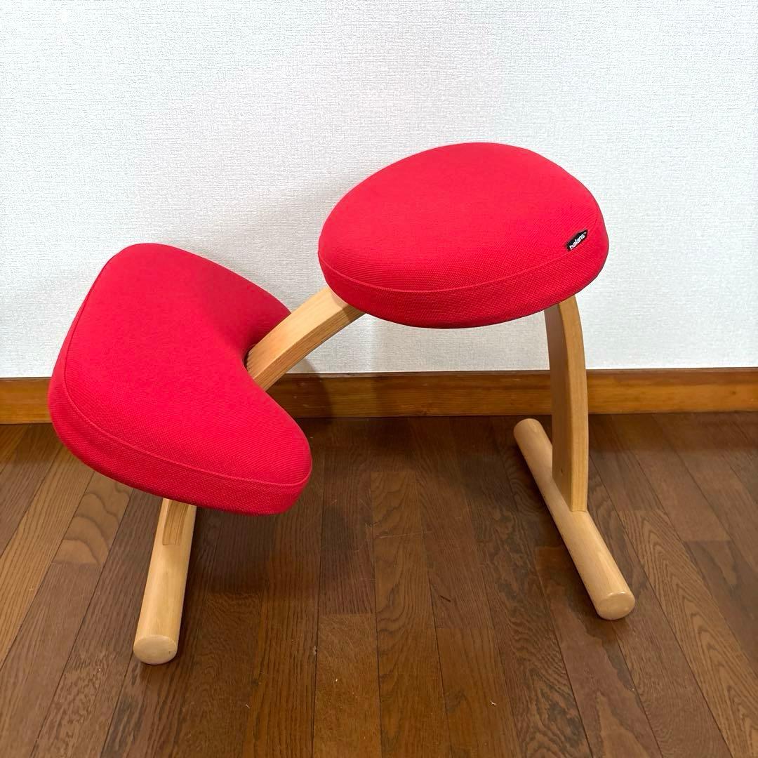 【美品】バランスイージー レッド 通常フレーム 調整ガイド付き