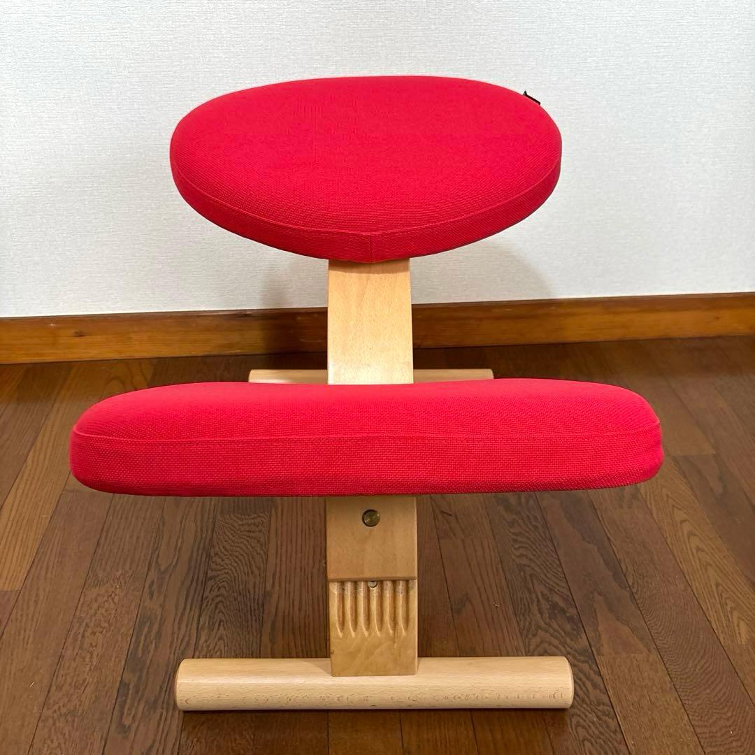 【美品】バランスイージー レッド 通常フレーム 調整ガイド付き