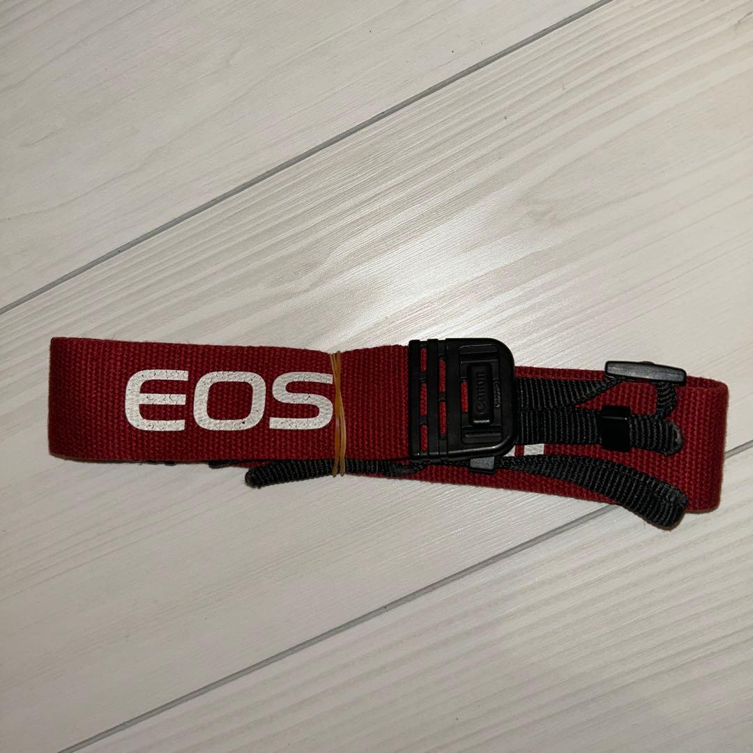 Canon EOS 5QD+EF 28-105mm+EF 100-300mm付き