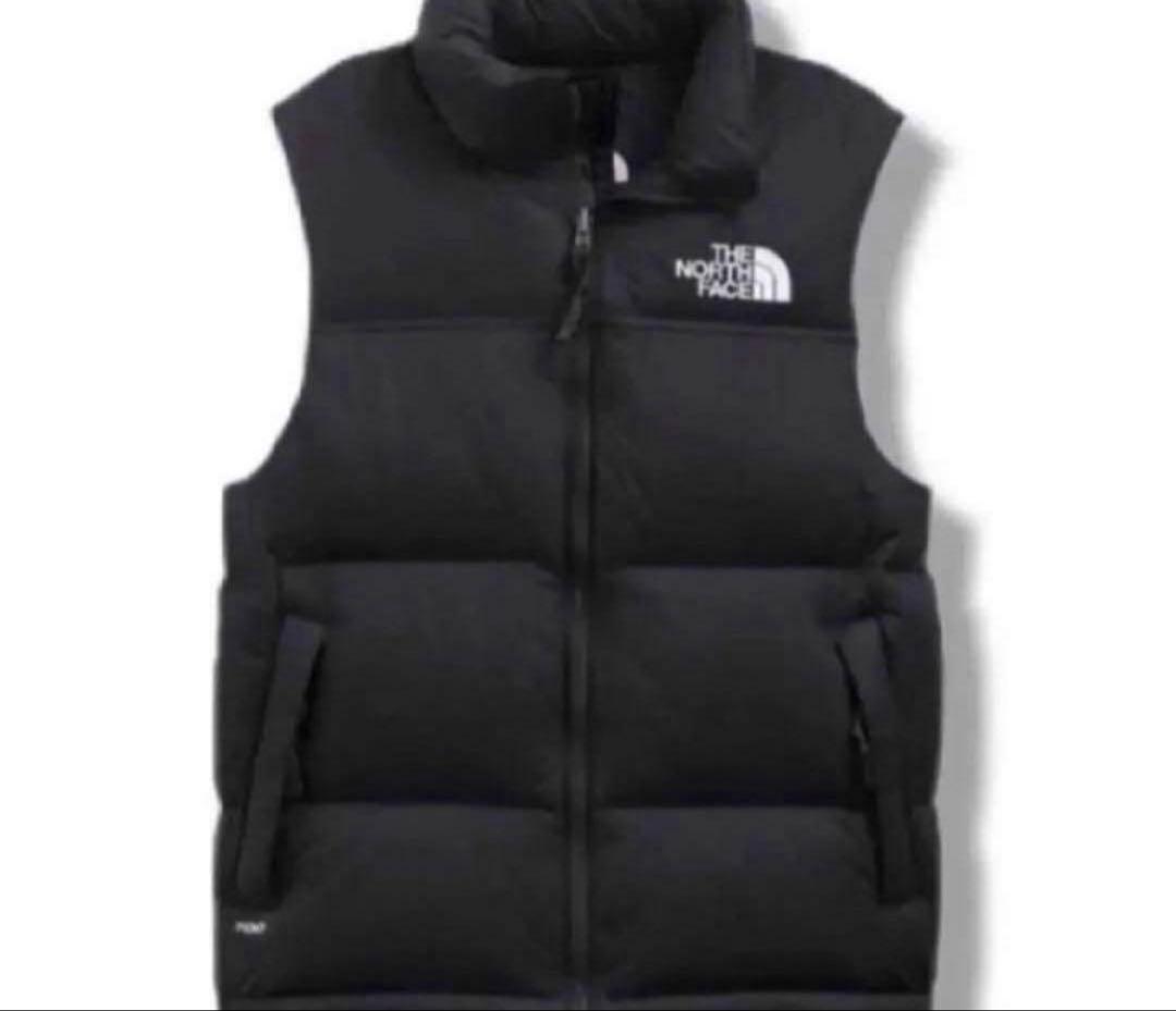 ゆたっちNORTH FACE 1996 NUPTSEレトロヌプシ ベストM