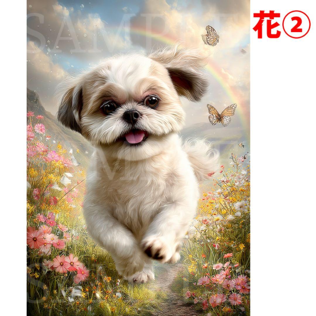 るぅ オーダー制作 シーズー 10枚セットB4/A6サイズ