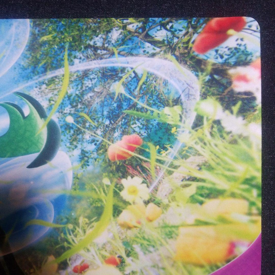 【公式/海外限定】マスカーニャ　CHAMPION　チャンピオン　プレイマット