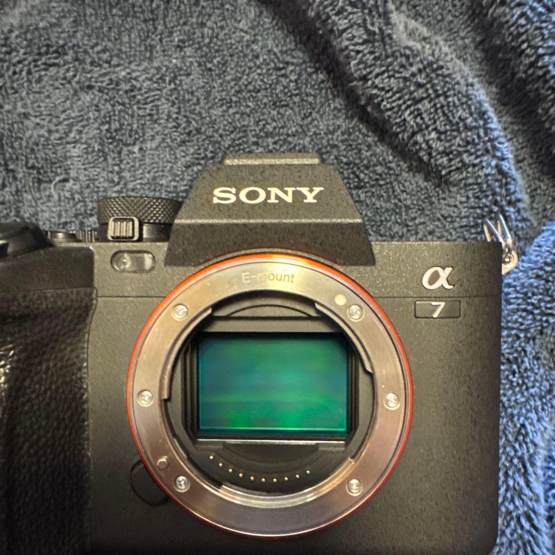 Sony α7ⅳ 20-70F4付き