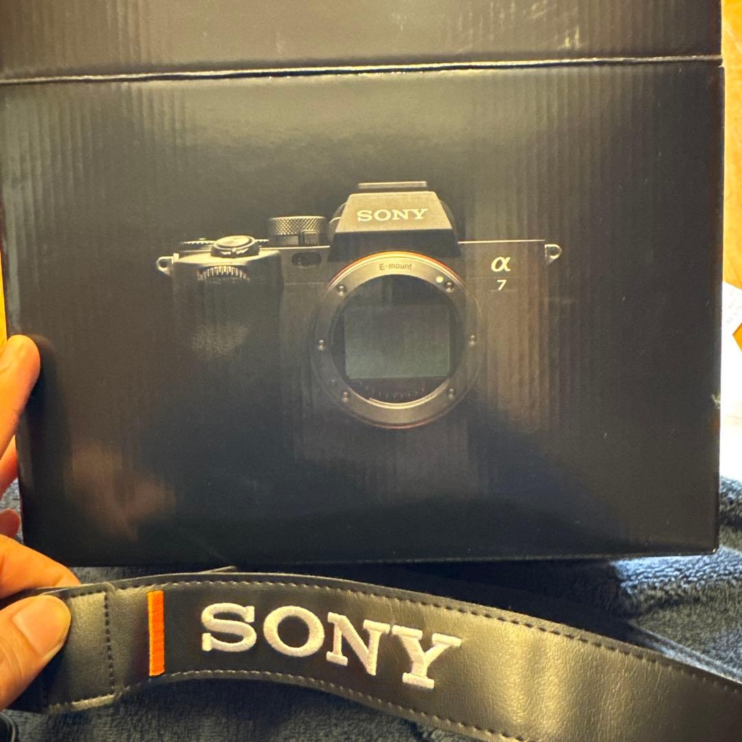 Sony α7ⅳ 20-70F4付き