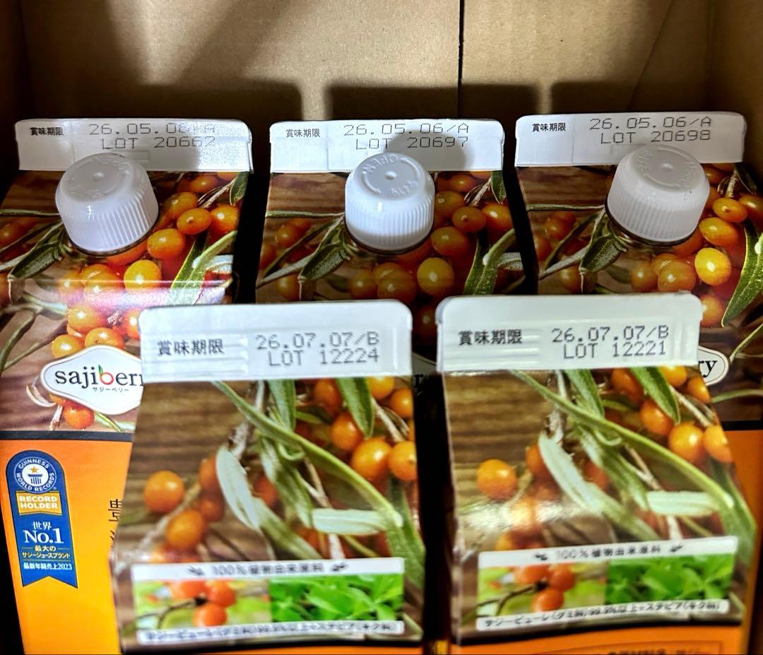 サジー 豊潤 1000ml×3 300ml×2 5本 セット