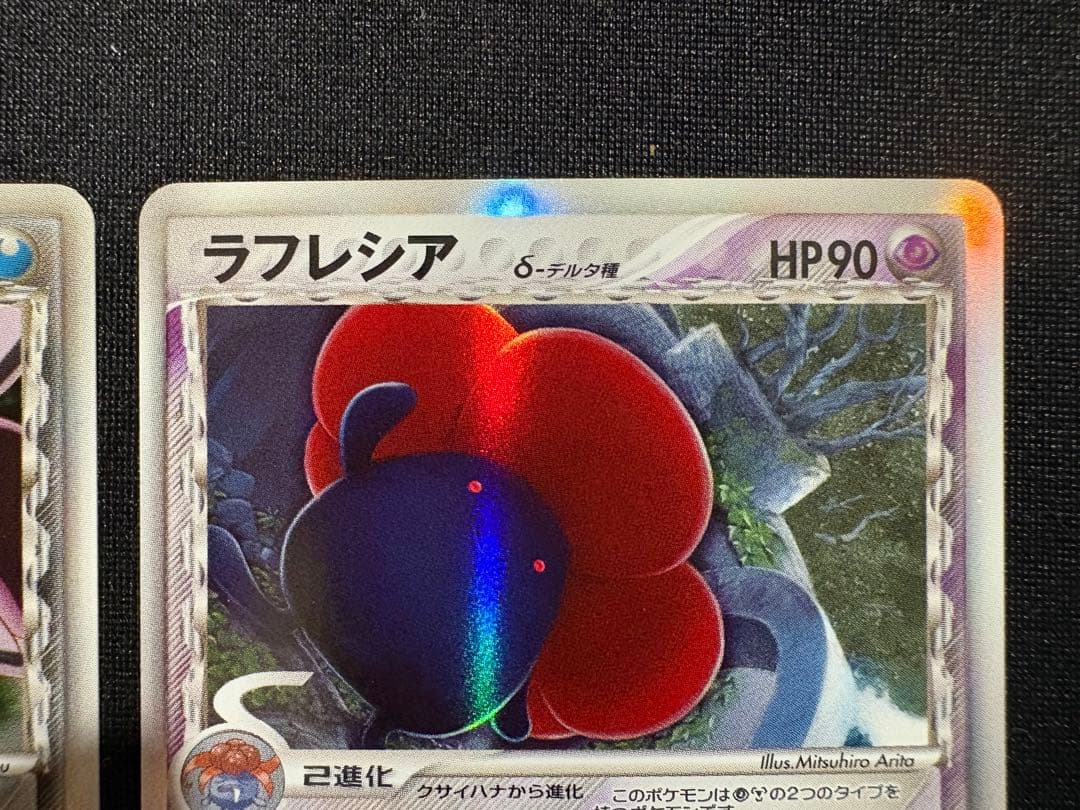 【まとめ】オーダイル デンリュウ ラフレシア ユレイドルδ デルタ種 2006