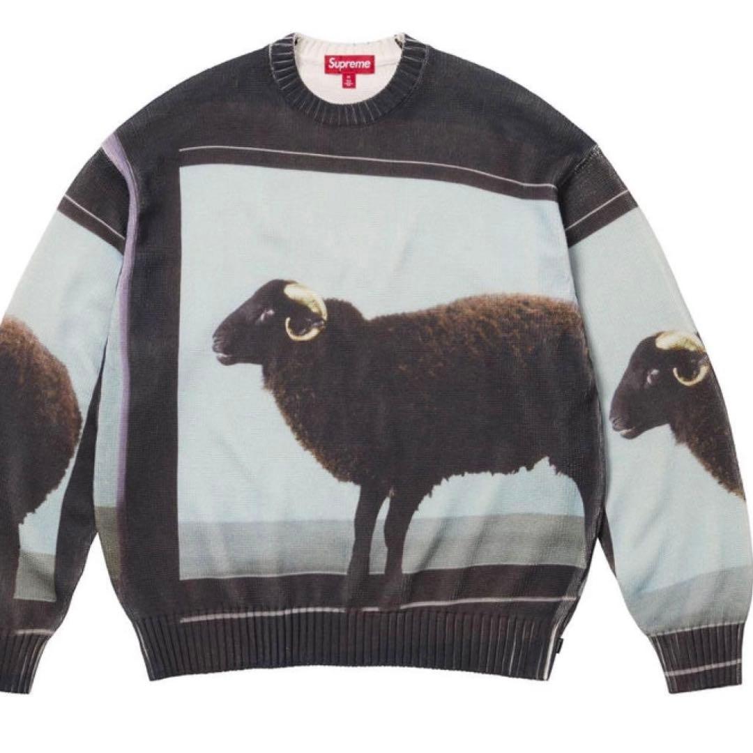 Supreme Damien Hirst sweater サイズ L