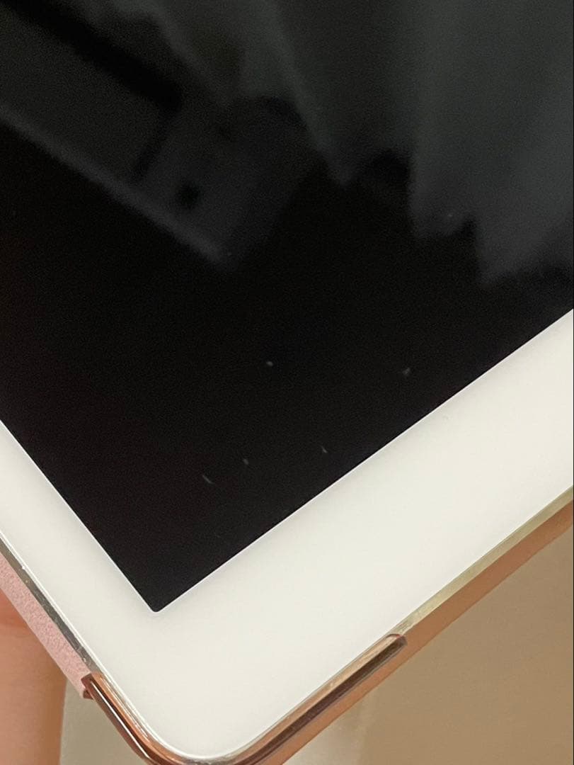 【早い者勝ち】ケース付き‼️iPad Pro 9.7インチ　256GB