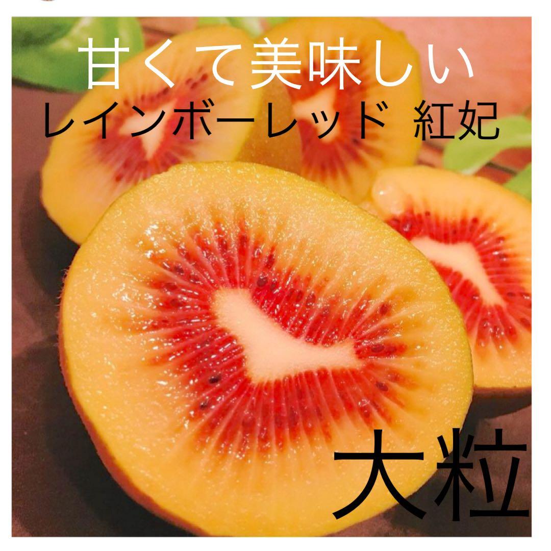 めがね　レインボーレッド　紅妃　キウイフルーツ