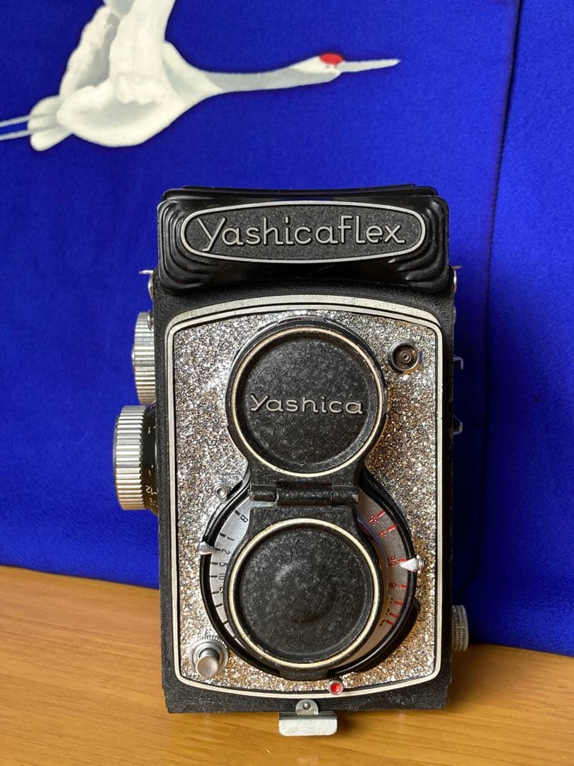 キラキラ感\"2アップ\"わくわく　YASHICA FLEX goodインテリア