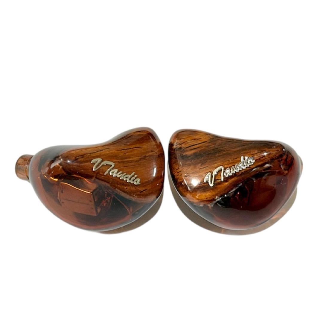 Wooeasy T4 イヤホン カスタム品