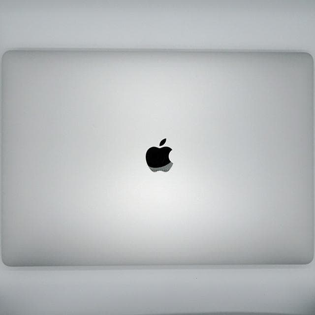 【美品】MacBook Pro 16_2019 i9/64GB/512GB_SV