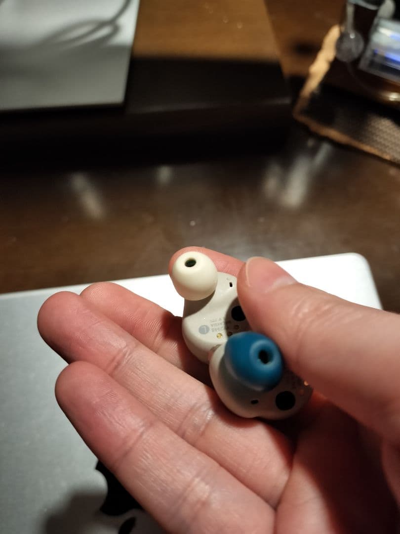 SONY ワイヤレスイヤホン ベージュ 充電ケース付き