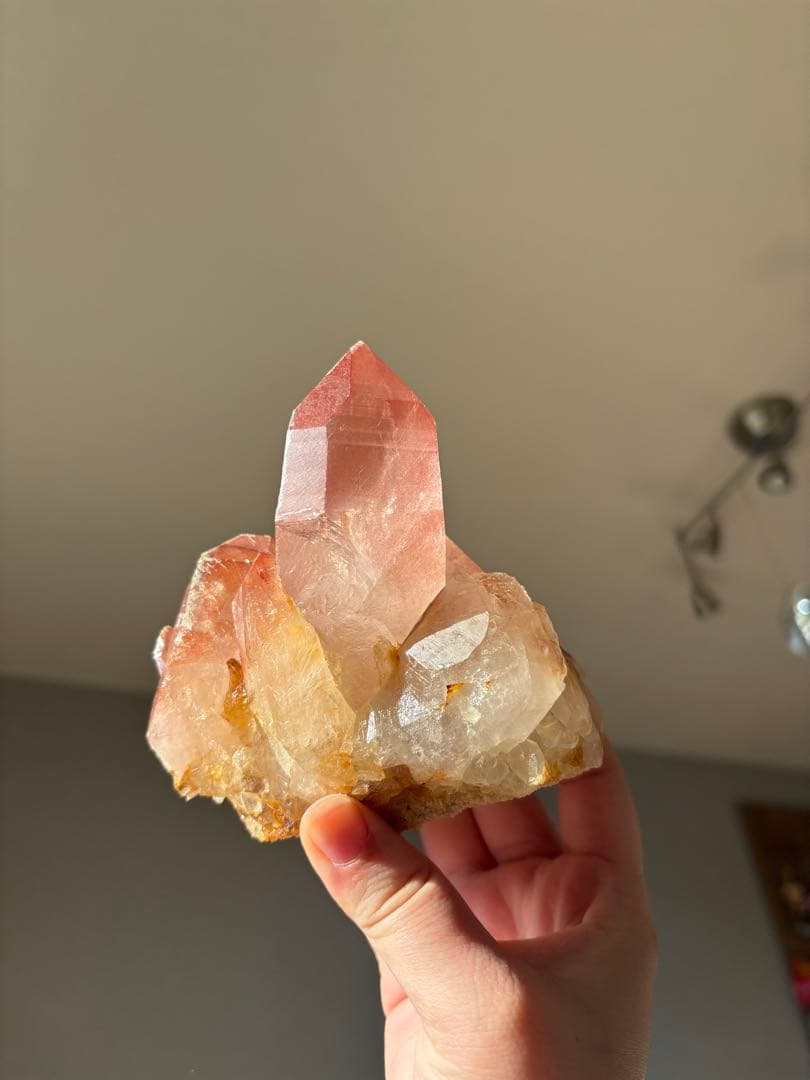 【SALE‼️】希少！　スカーレットテンプルレムリアン