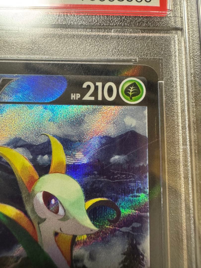 ジャローダV CSR PSA10 鑑定品