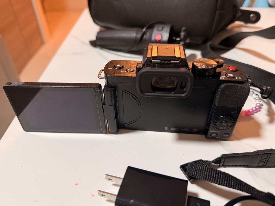 Panasonic lumix Gカメラ