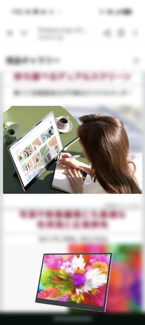 値下げ交渉❌️3日限定LG gram +view 16.0インチ モニター 本体