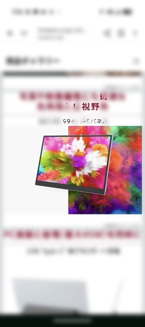 値下げ交渉❌️3日限定LG gram +view 16.0インチ モニター 本体