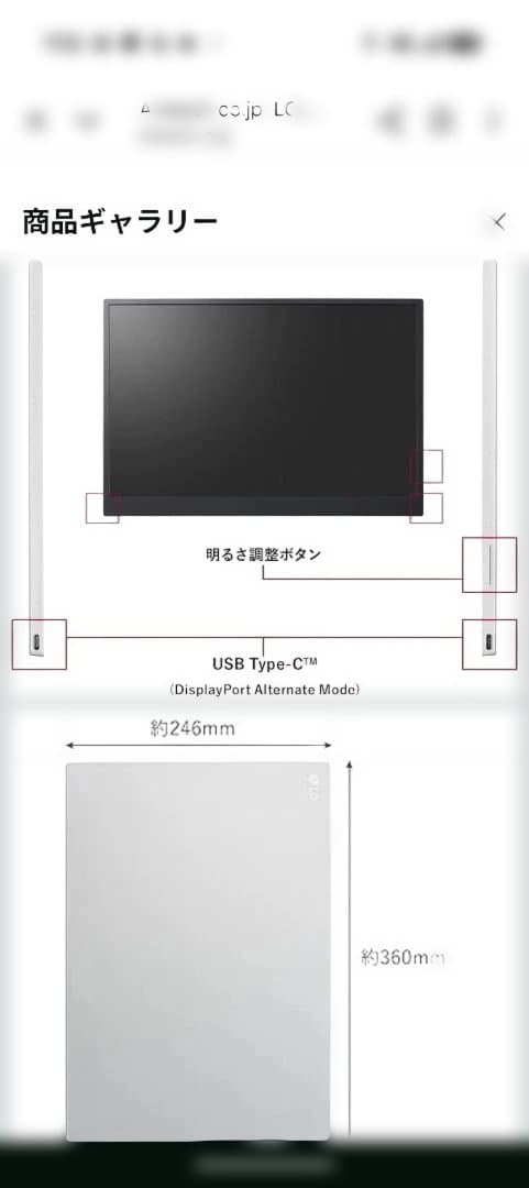 値下げ交渉❌️3日限定LG gram +view 16.0インチ モニター 本体