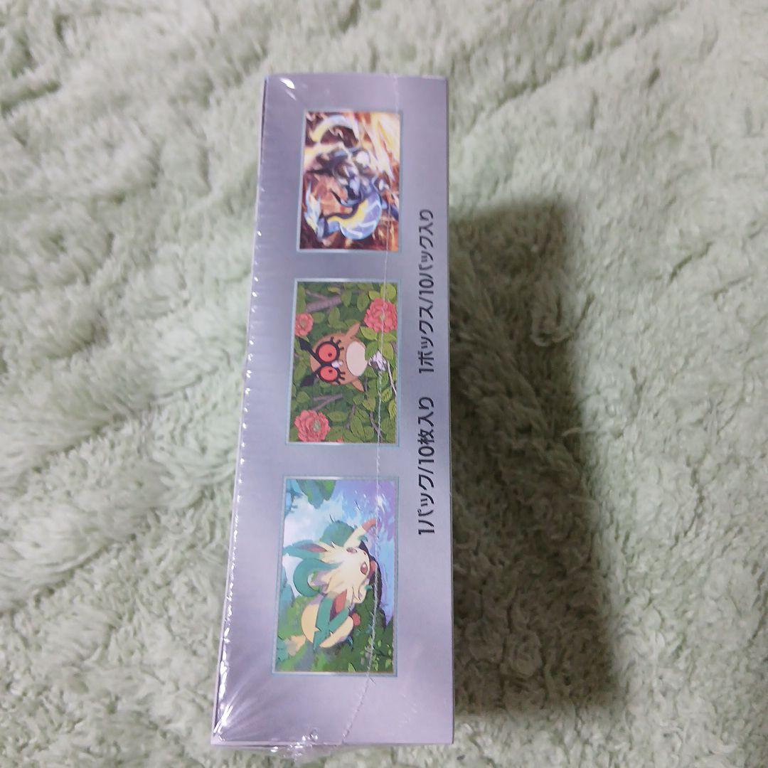 【新品未開封シュリンク付き】テラスタルフェスEX