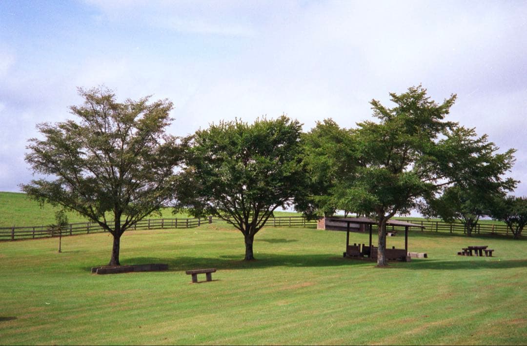 OLYMPUS 35 RC 製備品、テスト撮影済　130117