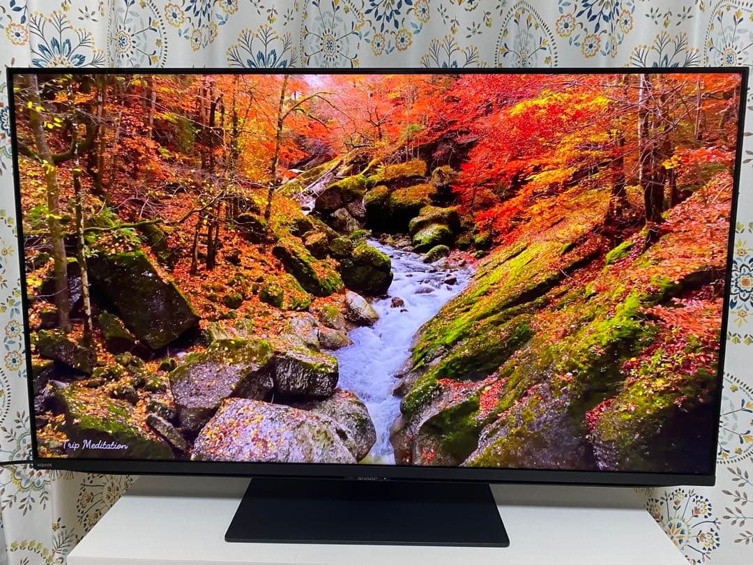 シャープ　4K液晶　AQUOS 43型4T-C43FN2 2024年製　値下げ中