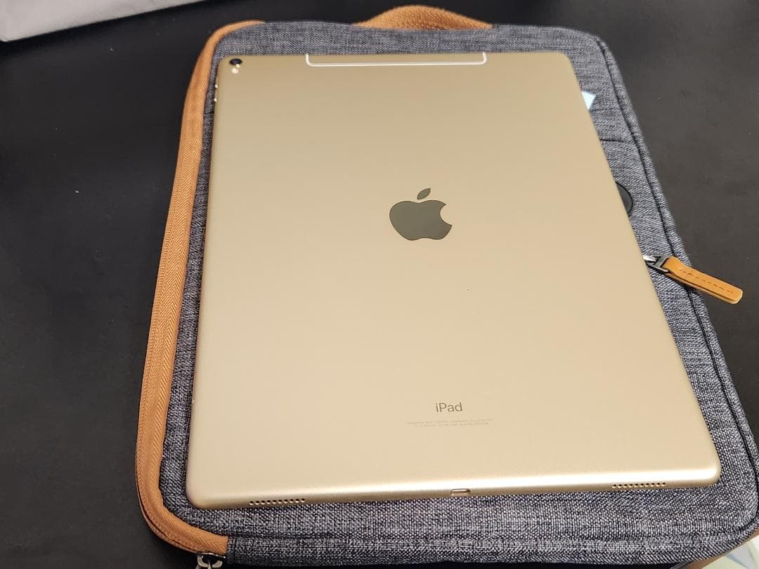 iPad Pro 第2世代 12.9インチ バッテリー100% 純正ペン付き