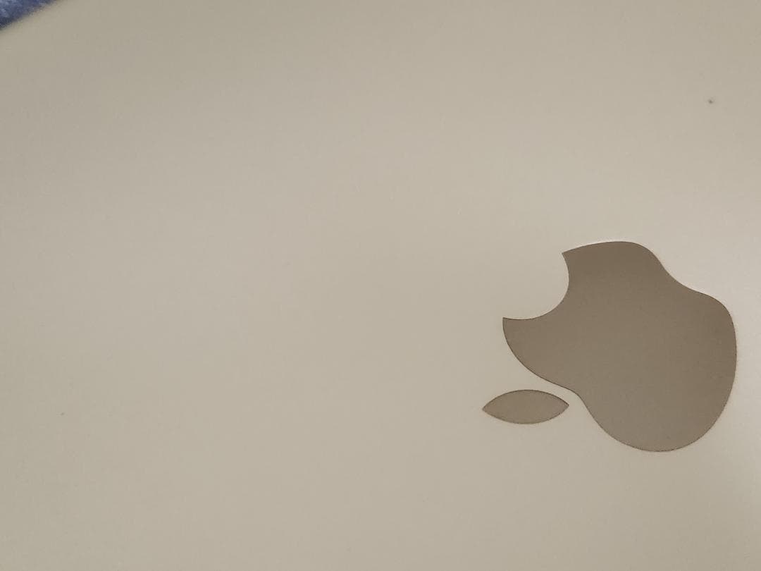 iPad Pro 第2世代 12.9インチ バッテリー100% 純正ペン付き