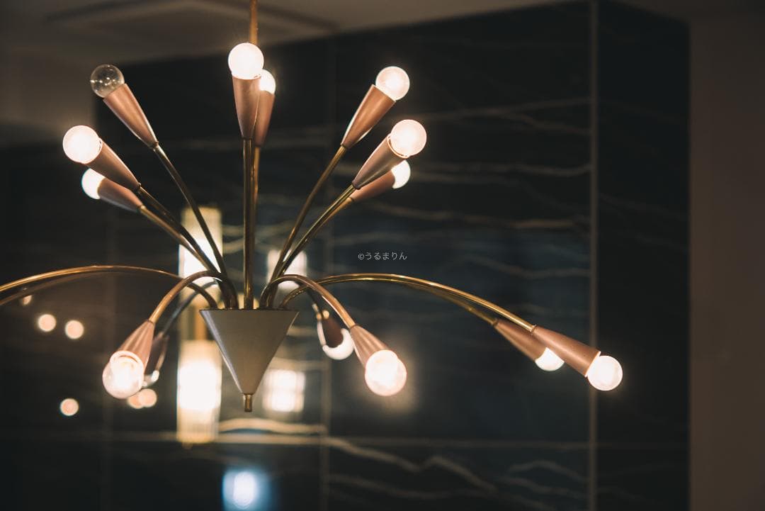 木村文乃使用モデル！Leica Elmarit 90mm F2.8 人物向き！