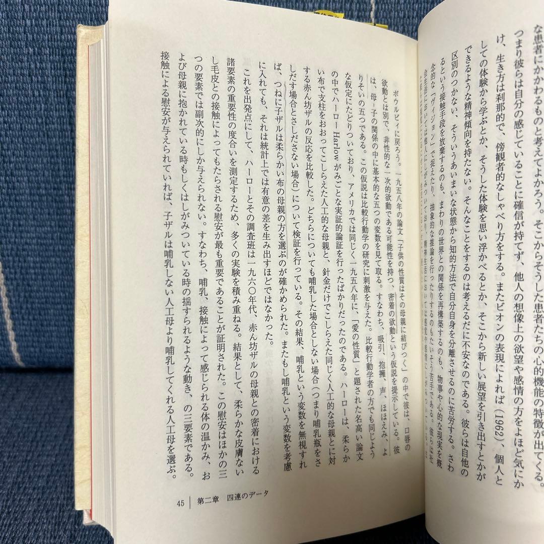 皮膚-自我 ディディエ・アンジュー