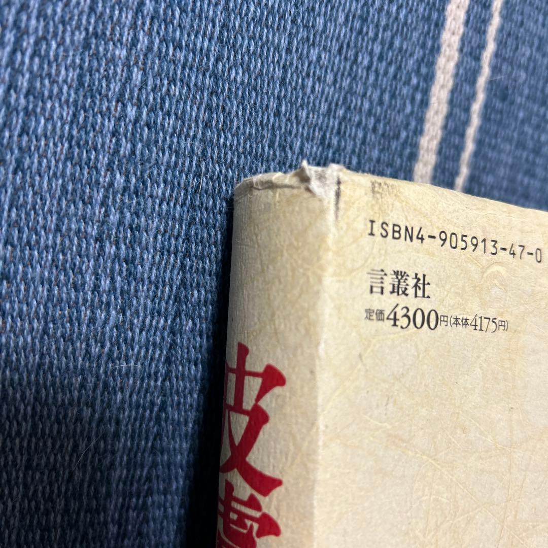 皮膚-自我 ディディエ・アンジュー