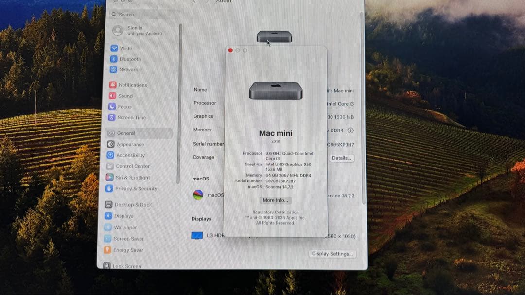 Mac mini 2018 スペースグレー i3 256GB メモリー64GB