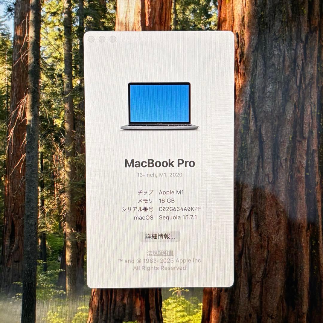 MacBook Pro 2020 13インチ 1TB / 16GB 【美品】