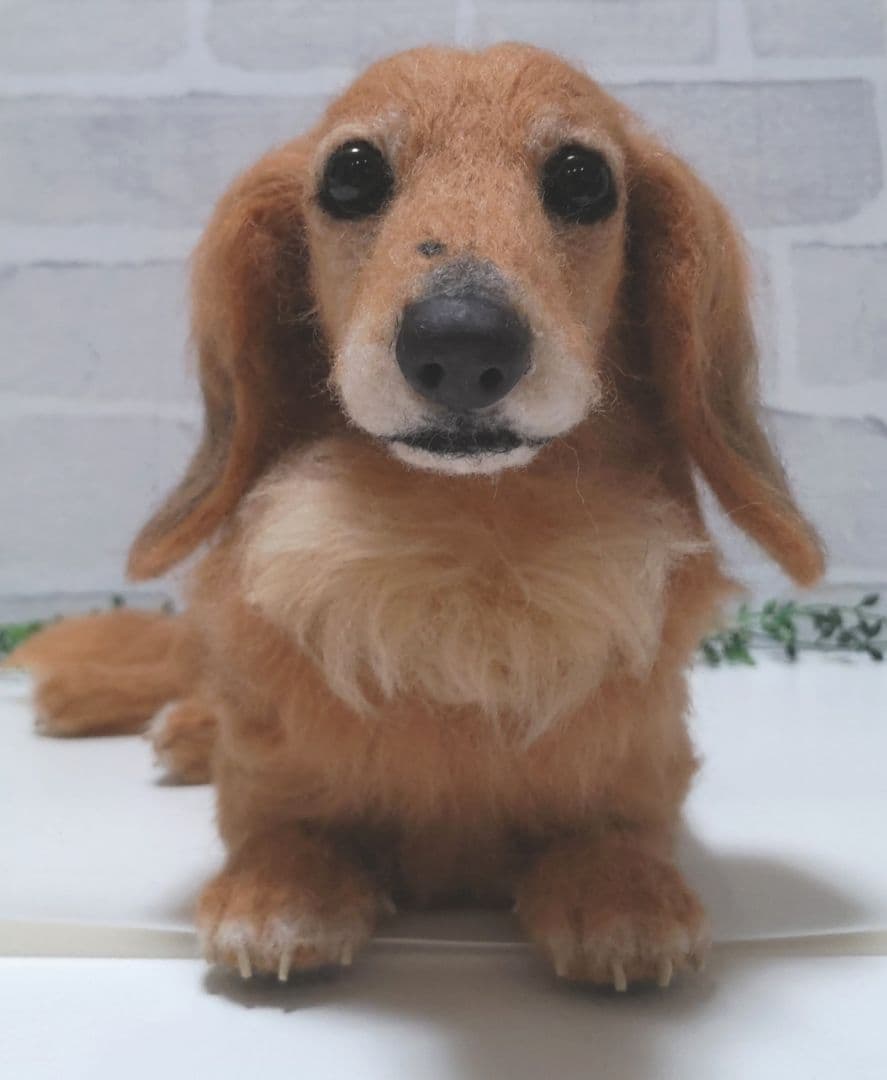 Yoko♡うちの子オーダー♡羊毛フェルト♪ハンドメイド☆