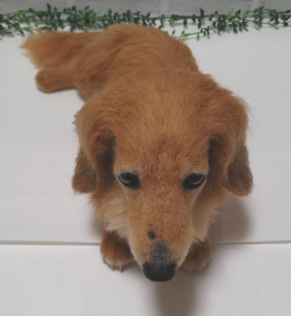 Yoko♡うちの子オーダー♡羊毛フェルト♪ハンドメイド☆